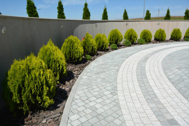Best Residential Driveway Paver Services  in Scissors, TX